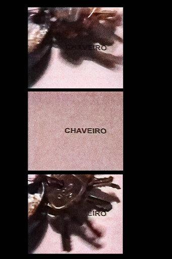 Keychain (1995) poster