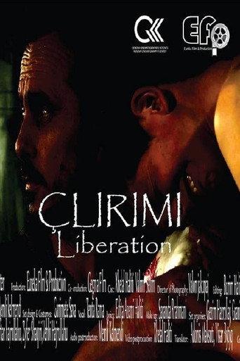 Liberation (2015) poster