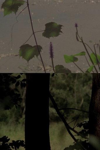 Under a Tree (2017) poster