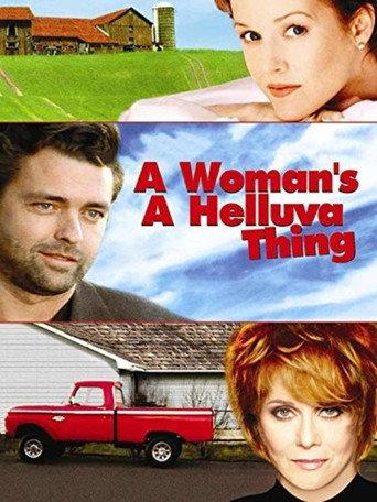 A Woman's a Helluva Thing (2001) poster