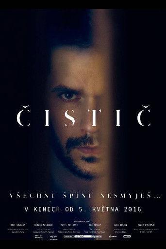 The Cleaner (2015) poster