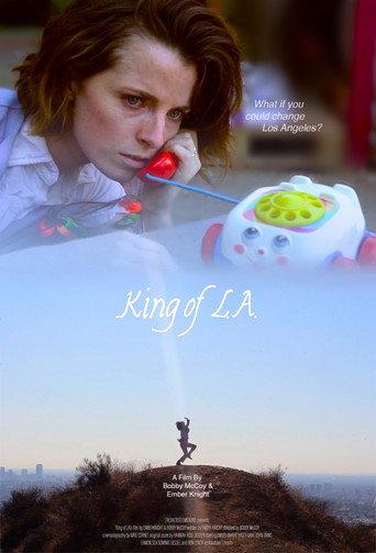 King of LA () poster
