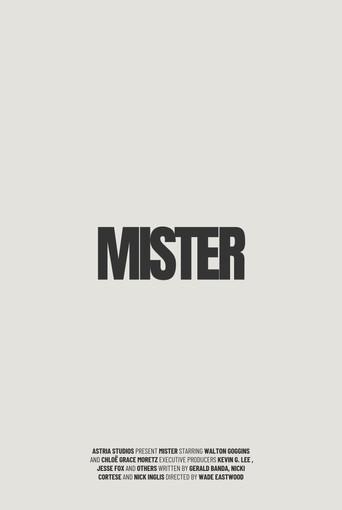 Mister () poster