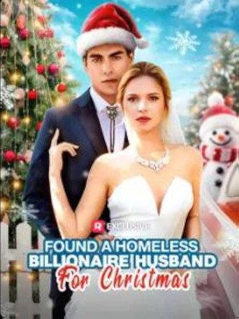 Found a Homeless Billionaire Husband for Christmas (2024) poster