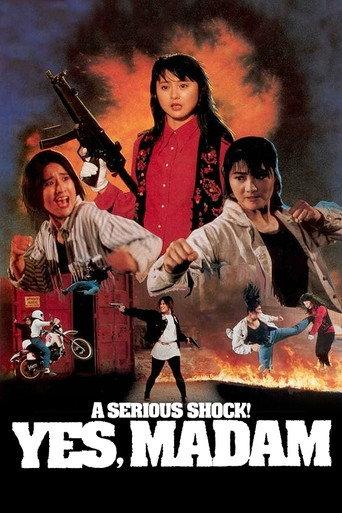 A Serious Shock! Yes Madam! (1993) poster