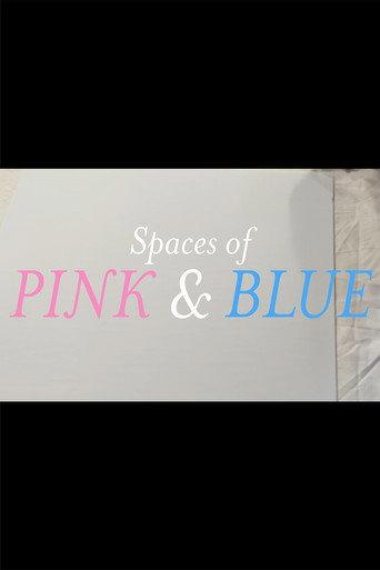 Spaces of Pink & Blue (2020) poster