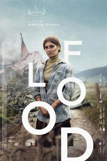 Flood (2025) poster