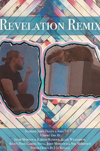Revelation Remix (2024) poster