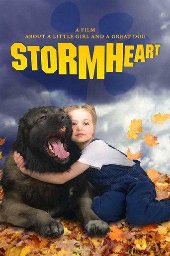 Stormheart (2008) poster