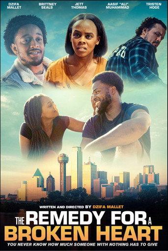 The Remedy for a Broken Heart () poster