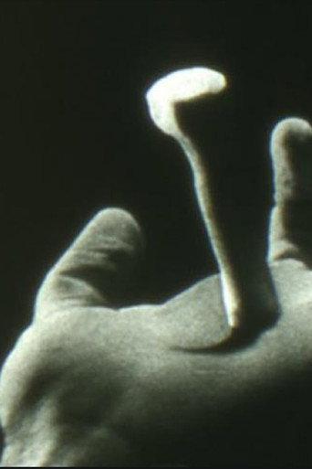 Non Catholicam (1963) poster