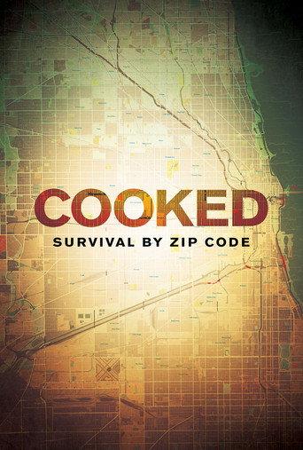 Cooked: Survival by Zip Code (2019) poster
