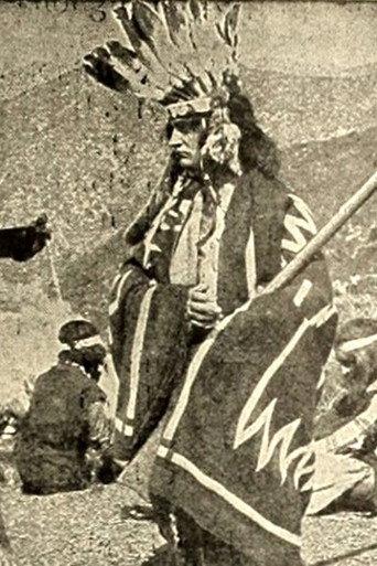 The Indian Brothers (1911) poster