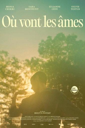 Where Souls Go (2025) poster