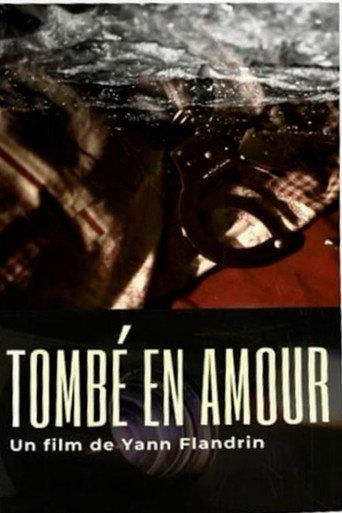 Tombé en amour () poster