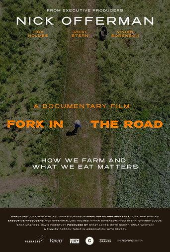Fork in the Road (2026) poster