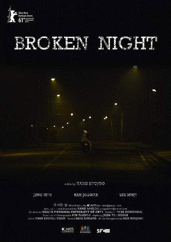 Broken Night (2010) poster