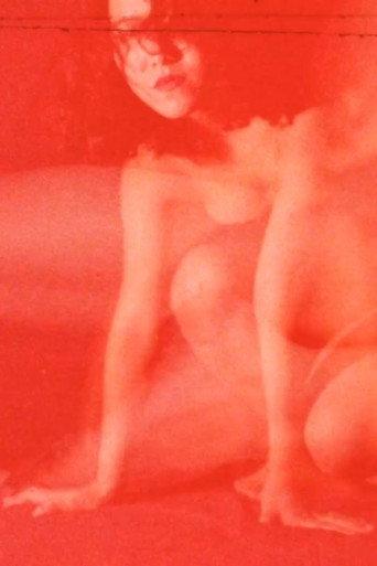 形 (1993) poster