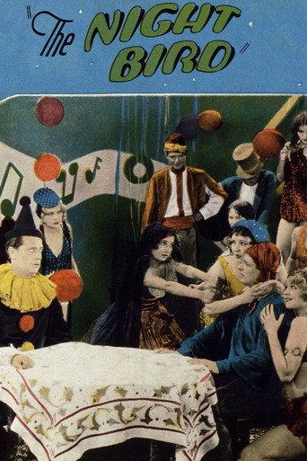 The Night Bird (1928) poster