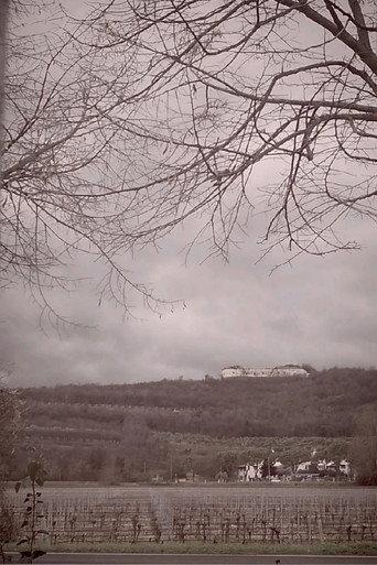 The Road, Chapter 1: Winter () poster