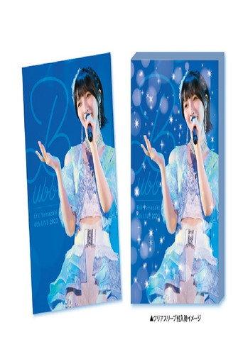 Erii Yamazaki 6th LIVE 2023 Bubble (2024) poster