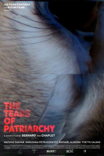 Les Larmes du Patriarcat (2026) poster