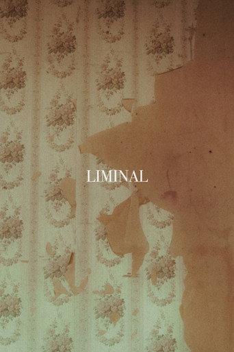 LIMINAL (2025) poster