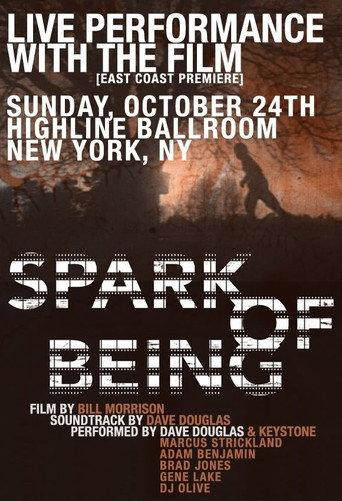Spark of Being (2010) poster