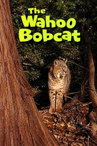The Wahoo Bobcat (1963) poster