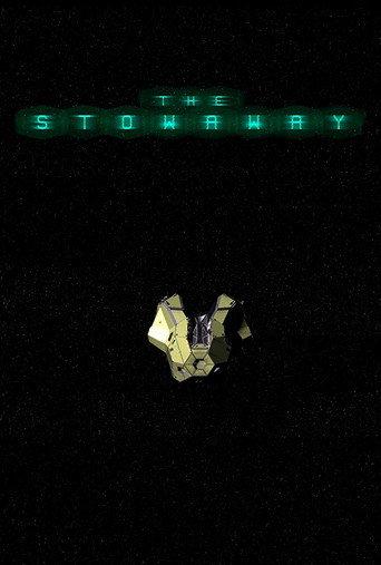The Stowaway (2014) poster