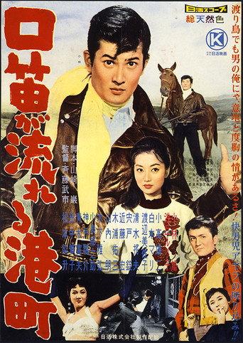 The Guitarist and the Rancher (1960) poster
