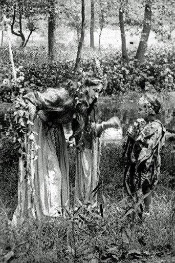 A Midsummer Night's Dream (1909) poster