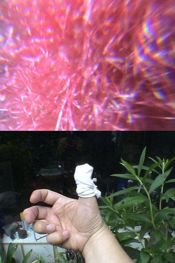 The Amazing Change of Flowers In My Little Garden (2008) poster