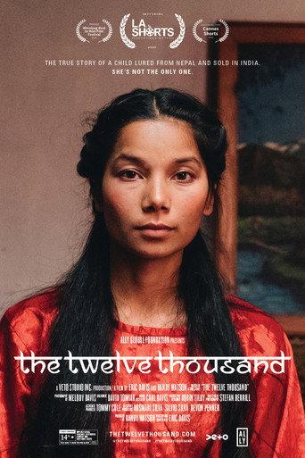 The Twelve Thousand (2020) poster