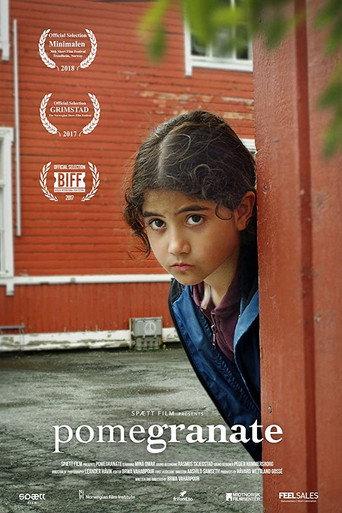 Pomegranate (2017) poster