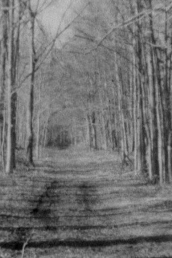 The Sea and the Woods, the Woods and the Sea (2021) poster