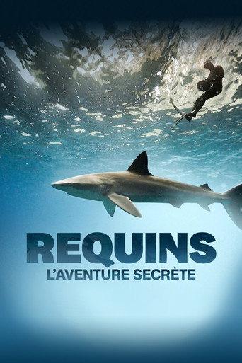 Sharks: The Secret Adventure (2022) poster