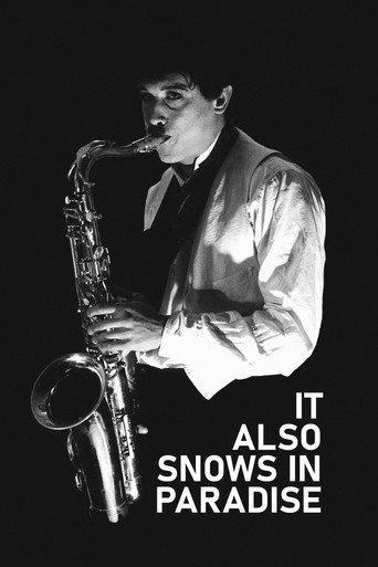 It Also Snows in Paradise (1994) poster