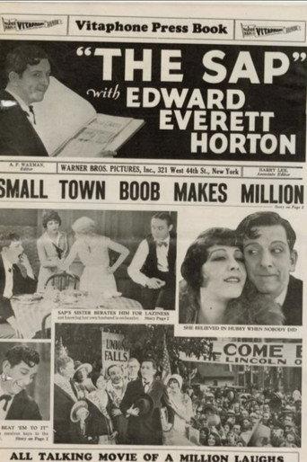 The Sap (1929) poster