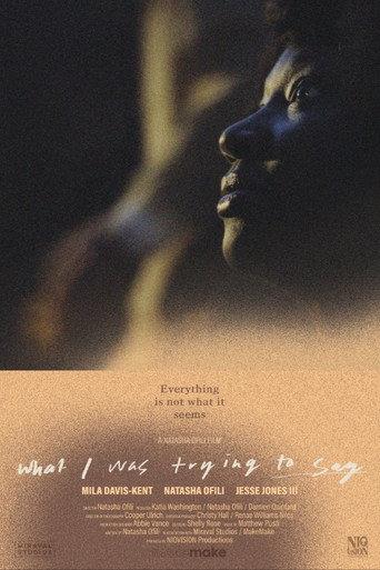 What I Was Trying to Say () poster