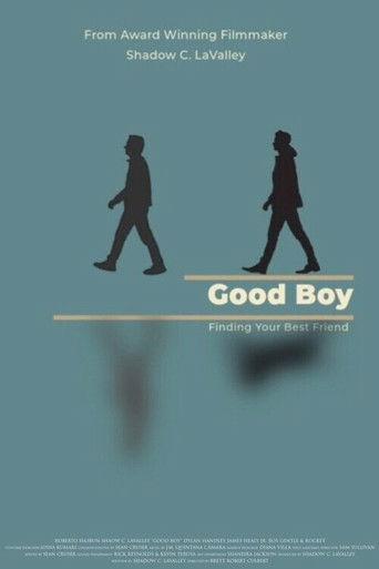 Good Boy () poster