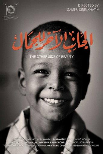 The Other Side of Beauty () poster