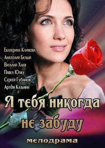 I'll Never Forget You (2013) poster