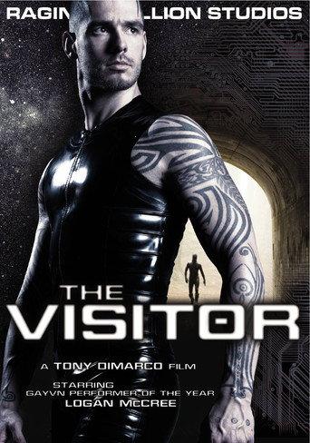 The Visitor (2009) poster