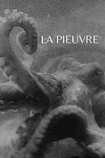 The Octopus (1928) poster