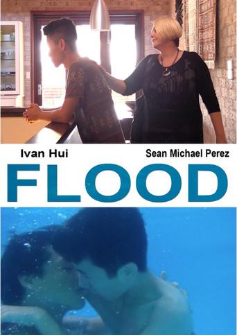 Flood () poster