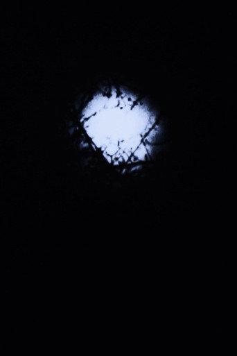 Night Awakening (1975) poster