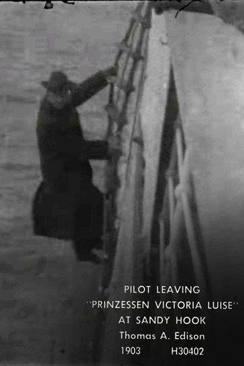 Pilot Leaving 'Prinzessen Victoria Luise' at Sandy Hook (1903) poster