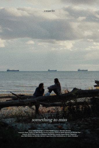 Something to Miss () poster