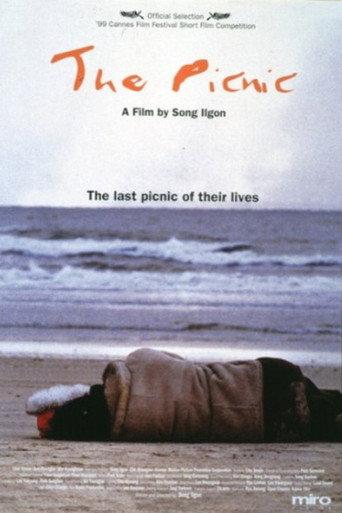 The Picnic (1998) poster